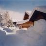 SkiWelt Wilder Kaiser-Brixental  - Appartement Wilder Kaiser, Anni Koller