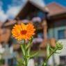 Schladming-Dachstein - Ferienresidence Vital