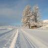 SkiWelt Wilder Kaiser-Brixental  - Die Rifflerin
