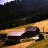 Schladming-Dachstein - Strausseralm