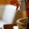 Serre Chevalier - Residencia Les Melezes. Serre Chevalier - STUDIO 4 PAX EST BALCON
