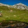 Schladming-Dachstein - Pension Brandstätter