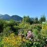 SkiWelt Wilder Kaiser-Brixental  - Appartment 