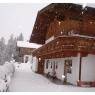 SkiWelt Wilder Kaiser-Brixental  - Ferienwohnung Schmiedhofer