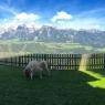 Schladming-Dachstein - Hotel Breilerhof