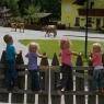 Schladming-Dachstein - Abenteuerhof Schiefer