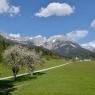 SkiWelt Wilder Kaiser-Brixental  - Bauernhof Niederscheffau - Fam. Werlberger