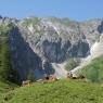 Flachau - Philips, Appartement