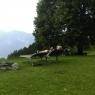 Schladming-Dachstein - Haus Arnold