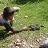 Schladming-Dachstein - Familien & Wanderpension Purkhardt