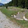 Flachau - Gotthardt, Appartements