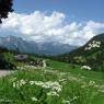 Schladming-Dachstein - Landhaus Neubauer