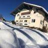 Schladming-Dachstein - Alpenblume