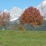 Schladming-Dachstein - Steinwenderhof