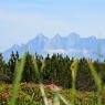 Schladming-Dachstein - Fresold