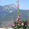 Schladming-Dachstein - Haus Guschelbauer