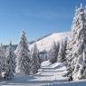 SkiWelt Wilder Kaiser-Brixental  - Bauernhof Oberachenhof