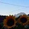 Schladming-Dachstein - Fresold