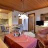 SkiWelt Wilder Kaiser-Brixental  - Appartement Erber