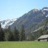 Schladming-Dachstein - Höflechner, Potzalm