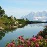 Schladming-Dachstein - Landhaus Sonnenschein
