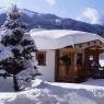 SkiWelt Wilder Kaiser-Brixental  - Landhaus Erber