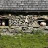 Schladming-Dachstein - Haus Guschelbauer
