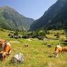 Schladming-Dachstein - Erika Grundner, Haus