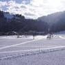 SkiWelt Wilder Kaiser-Brixental  - Appartement Biber