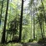 Schladming-Dachstein - Ferienwohnungen Hohl