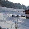SkiWelt Wilder Kaiser-Brixental  - Appartement Ortner