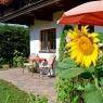 SkiWelt Wilder Kaiser-Brixental  - Haus Barbara - Exenberger Barbara