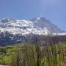 Grindelwald - Chalet Eiger