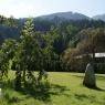 SkiWelt Wilder Kaiser-Brixental  - Ferienwohnung zum Schneider