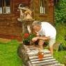 Schladming-Dachstein - Pension Gamsjäger - Urlaub beim Biolandwirt