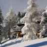 Arosa - Lenzerheide - Forigel Terrassenwohnung