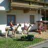 SkiWelt Wilder Kaiser-Brixental  - Landhaus Aschaber