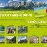 Schladming-Dachstein - Pension Brandstätter