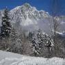 SkiWelt Wilder Kaiser-Brixental  - Bauernhof Petererhof