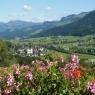 SkiWelt Wilder Kaiser-Brixental  - Bauernhof App. Hundbichl