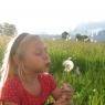 Schladming-Dachstein - Pension Steiermark