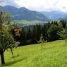 SkiWelt Wilder Kaiser-Brixental  - Appartement Vorderlaiming