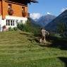 Schladming-Dachstein - Stammerhof