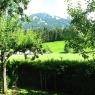 Kitzbühel - Appartement Pöll Helga