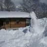 SkiWelt Wilder Kaiser-Brixental  - Biobauernhof Harasshof