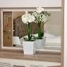 Schladming-Dachstein - Sunshine Appartements