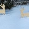 Schladming-Dachstein - Hotel-Restaurant-Loy