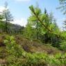 Flachau - Ausserraingut