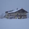 SkiWelt Wilder Kaiser-Brixental  - Appartement Biber