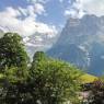 Grindelwald - Chalet Bergfink